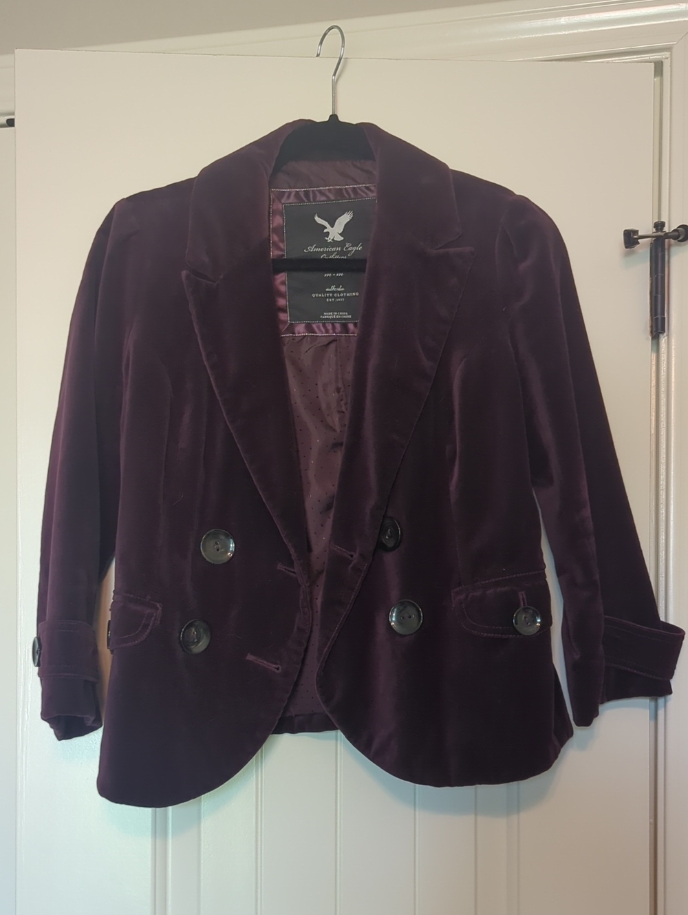 American Eagle Outfitters Deep Plum Velvet Double-Breasted Blazer